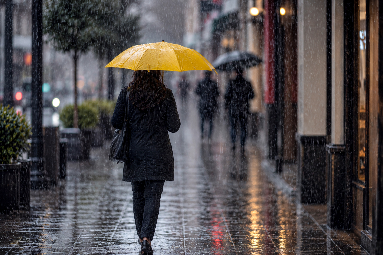 Lluvias