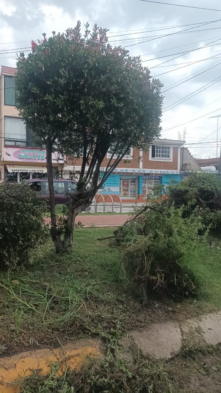 Denuncian ecocidio en Cuautepec