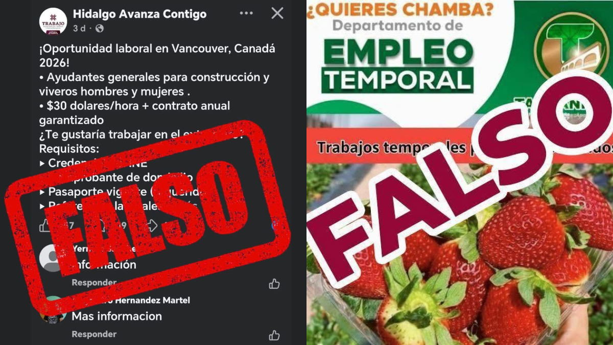 Autoridades de Hidalgo alertan sobre ofertas de trabajo FALSO que circulan en redes sociales y prometen empleos en Canadá.