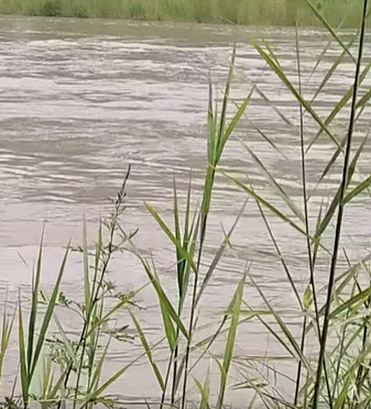 Río Huautla