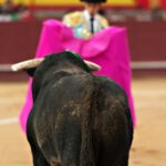 Corrida de toros