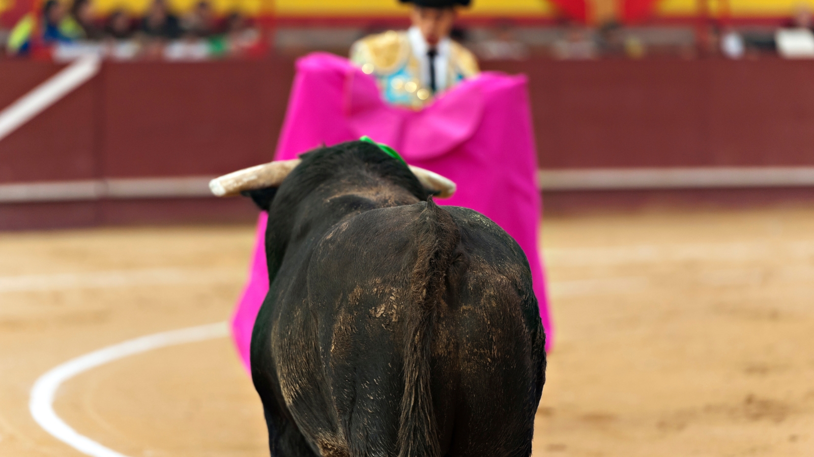 Corrida de toros