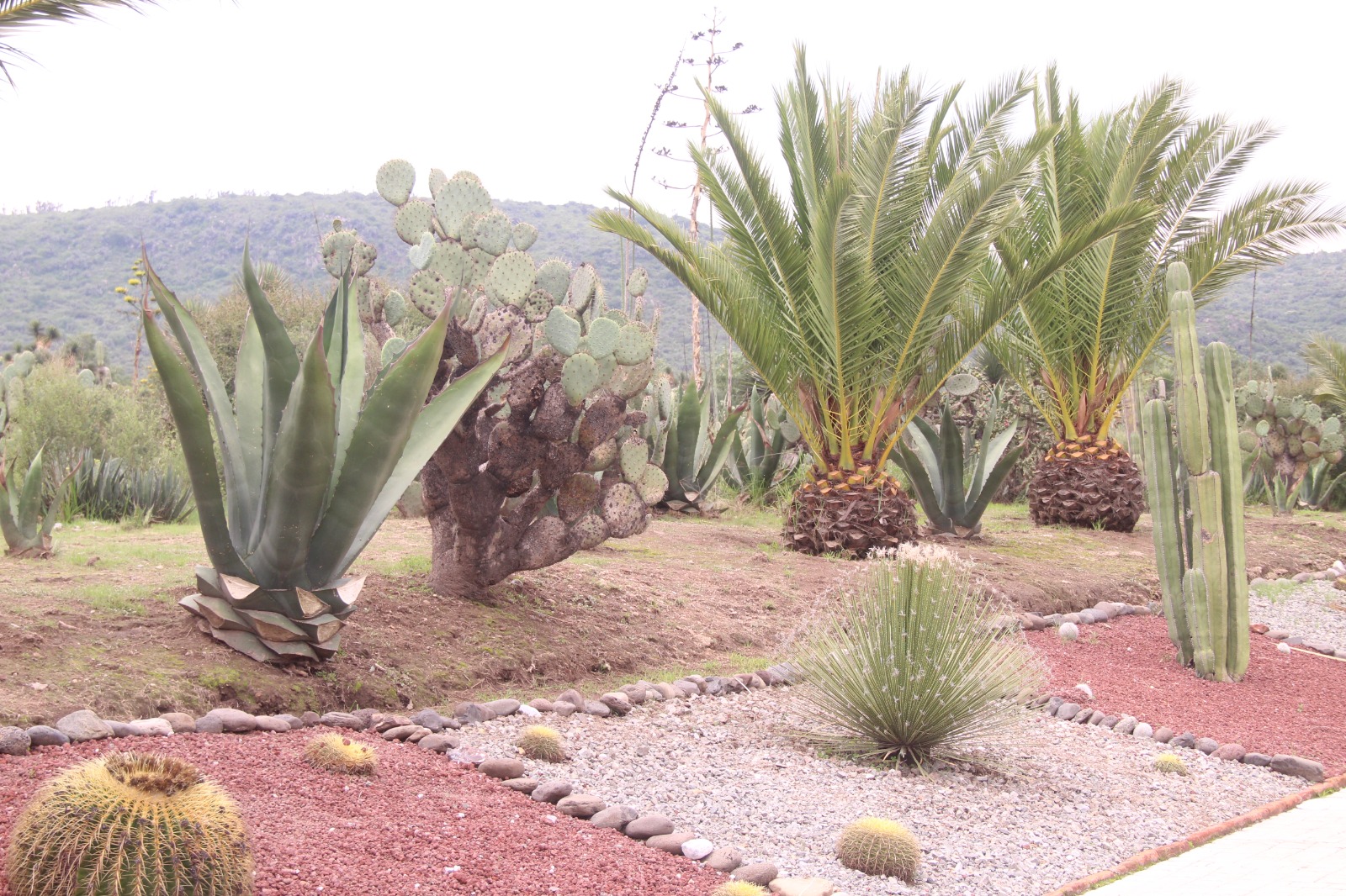 Cerro de Cubitos