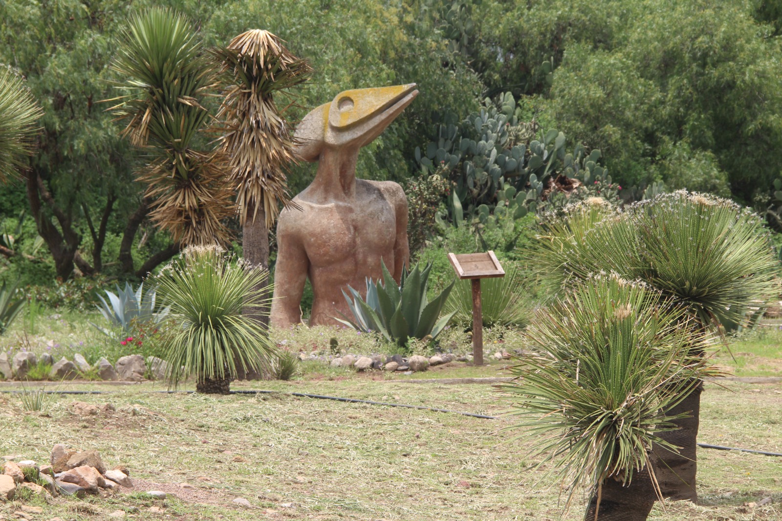 Parque Ecológico Cubitos