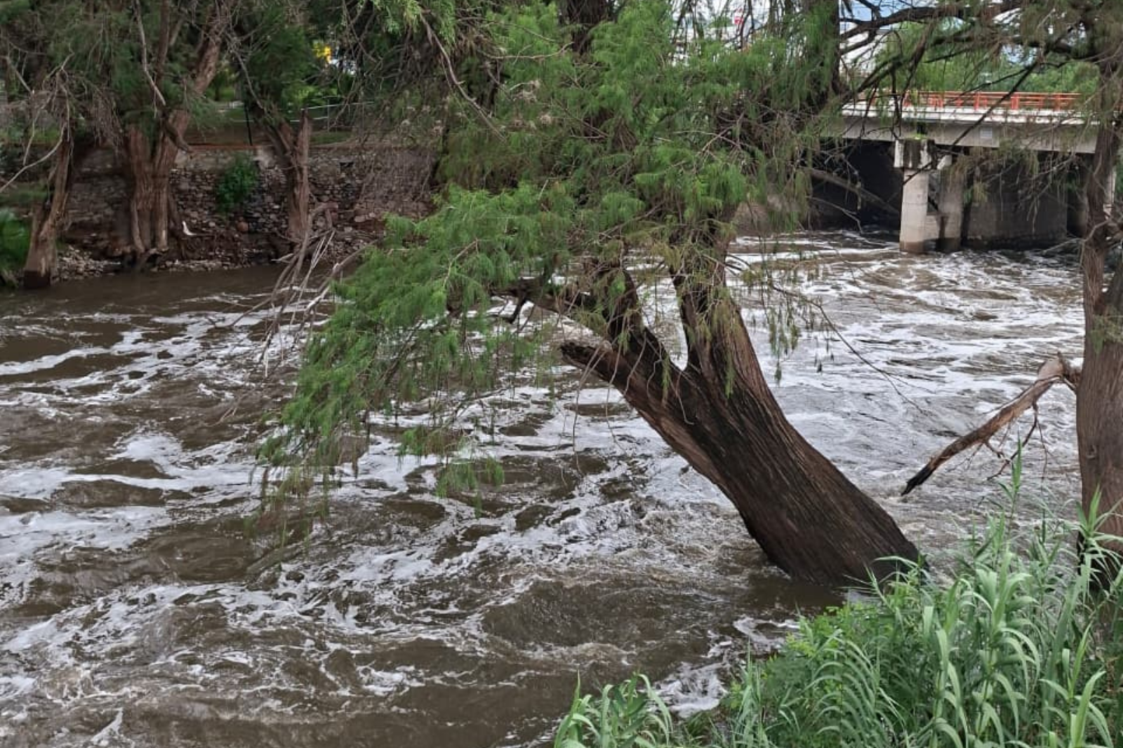 Las lluvias siguen elevando el caudal del río Tula; Protección Civil ya emitió recomendaciones para la población
