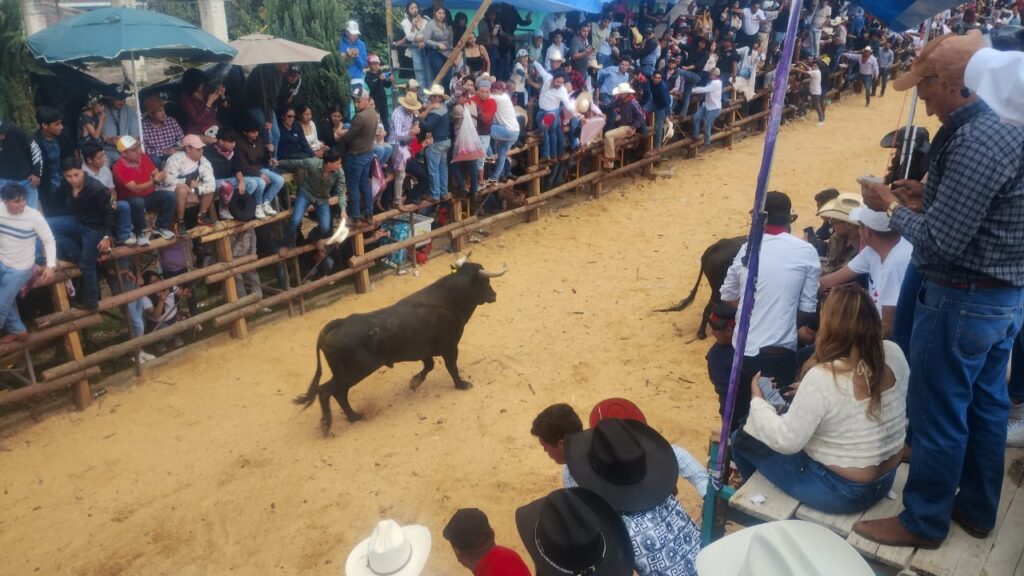 Santiagada es una tradición que “debe evolucionar”: PVEM