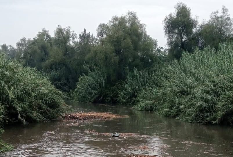 Limpian cause del río Salado en Tlaxcoapan
