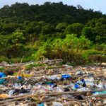 Área natural de Hidalgo afectada por delitos ambientales durante 2026.