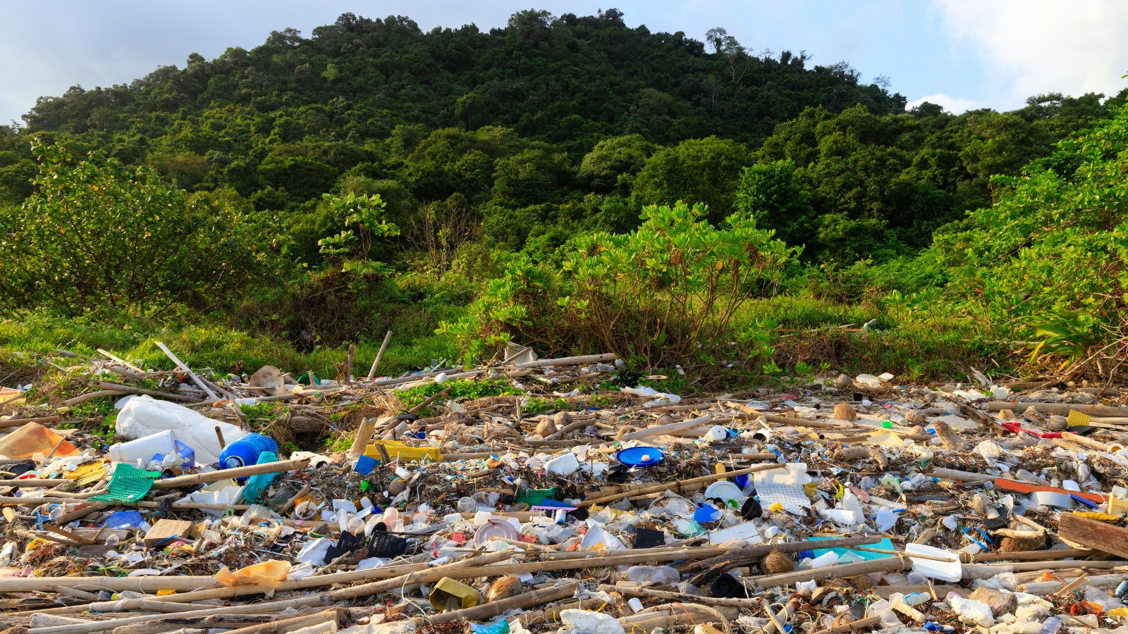 Hidalgo rompe récord en delitos contra el medioambiente durante 2026