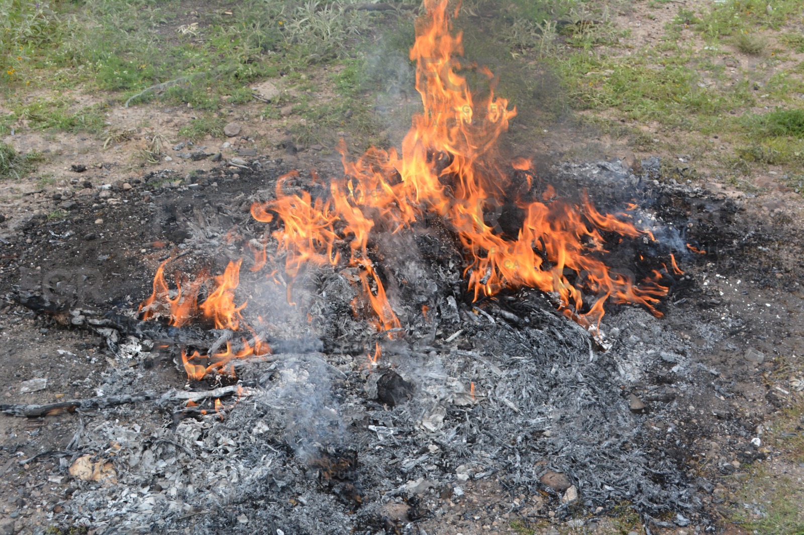 Personal de la FGR durante la incineración de droga en Hidalgo.