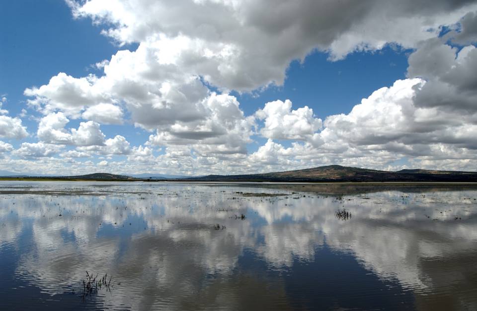 La restauración del río Tula sigue avanzando y ahora contempla una nueva protección para un emblemático espacio natural del estado. Te contamos los detalles.