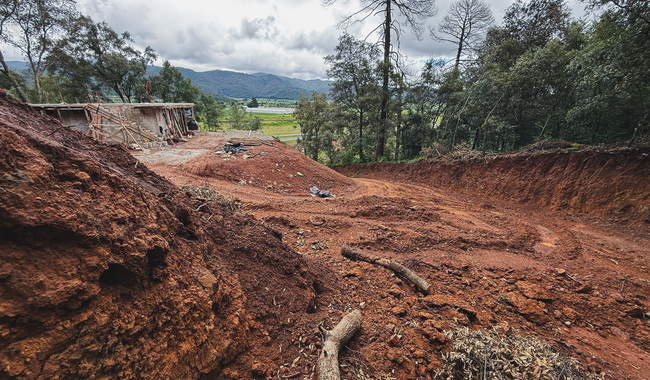 Clausura de Profepa en predio con remoción ilegal de bosque en Singuilucan.