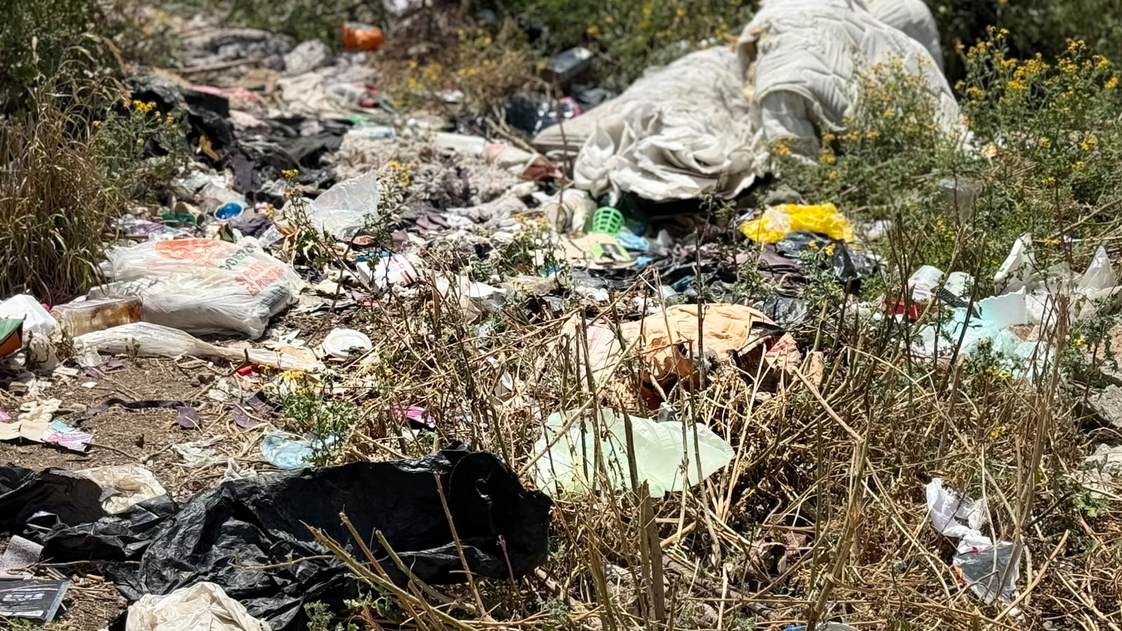 Predio en El Palmar vuelve a convertirse en basurero Clandestino