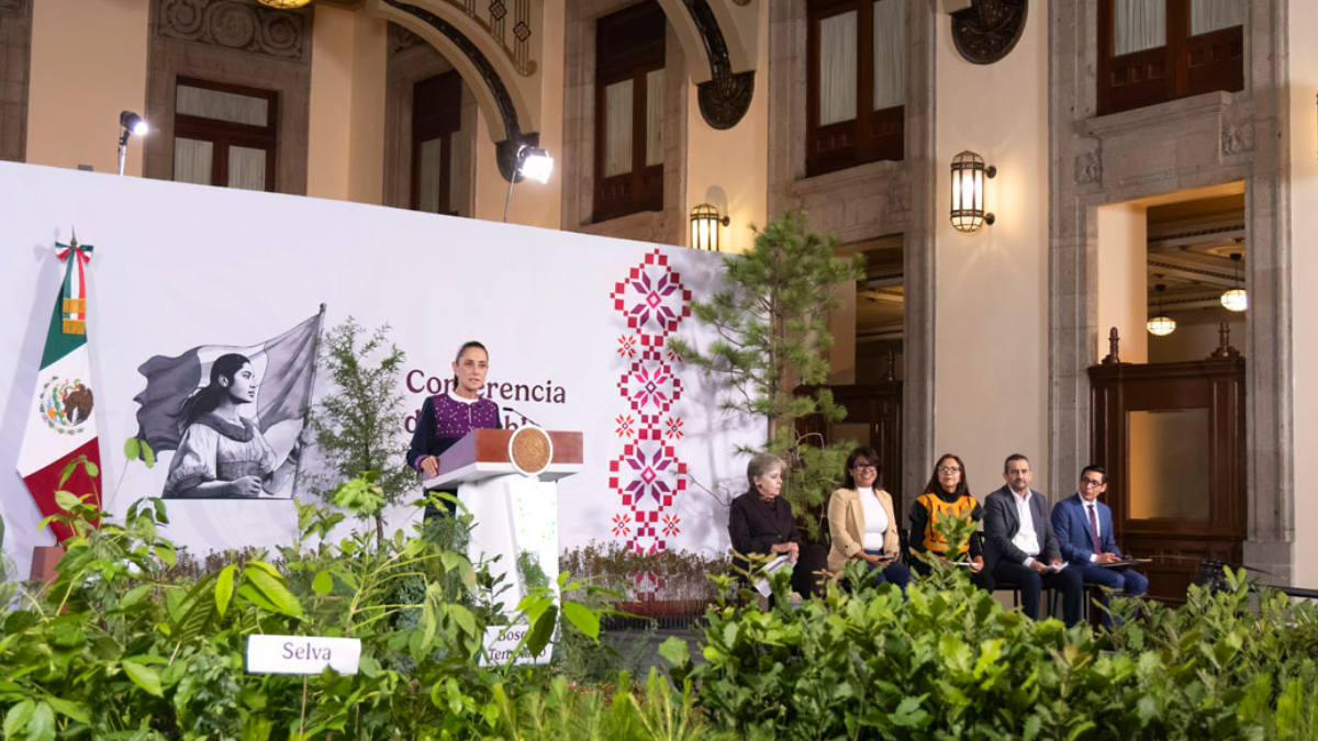 Jornada Nacional de Reforestación: Sheinbaum encabezará la siembra de más de 6.6 millones de árboles en los 32 estados del país.