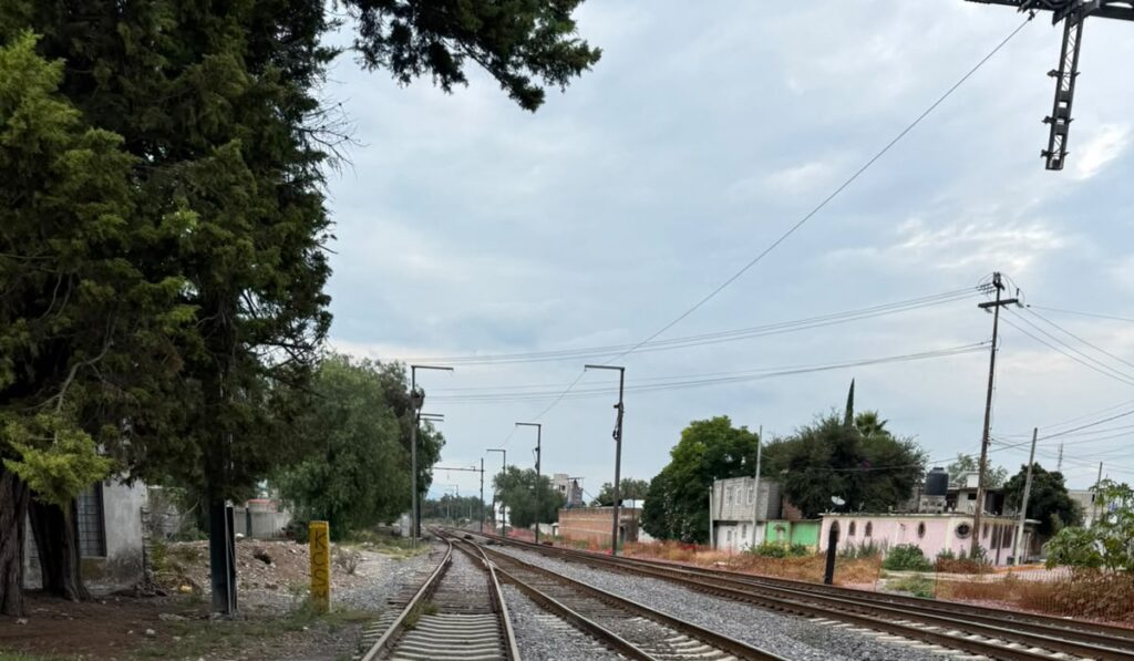 Vecinos de Tula denuncian tala de árboles por obras del tren México-Querétaro