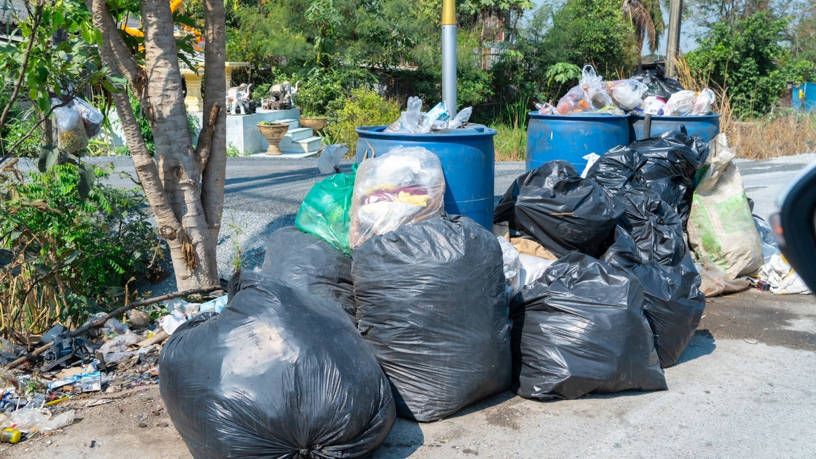 Basura acumulada en Tula de Allende