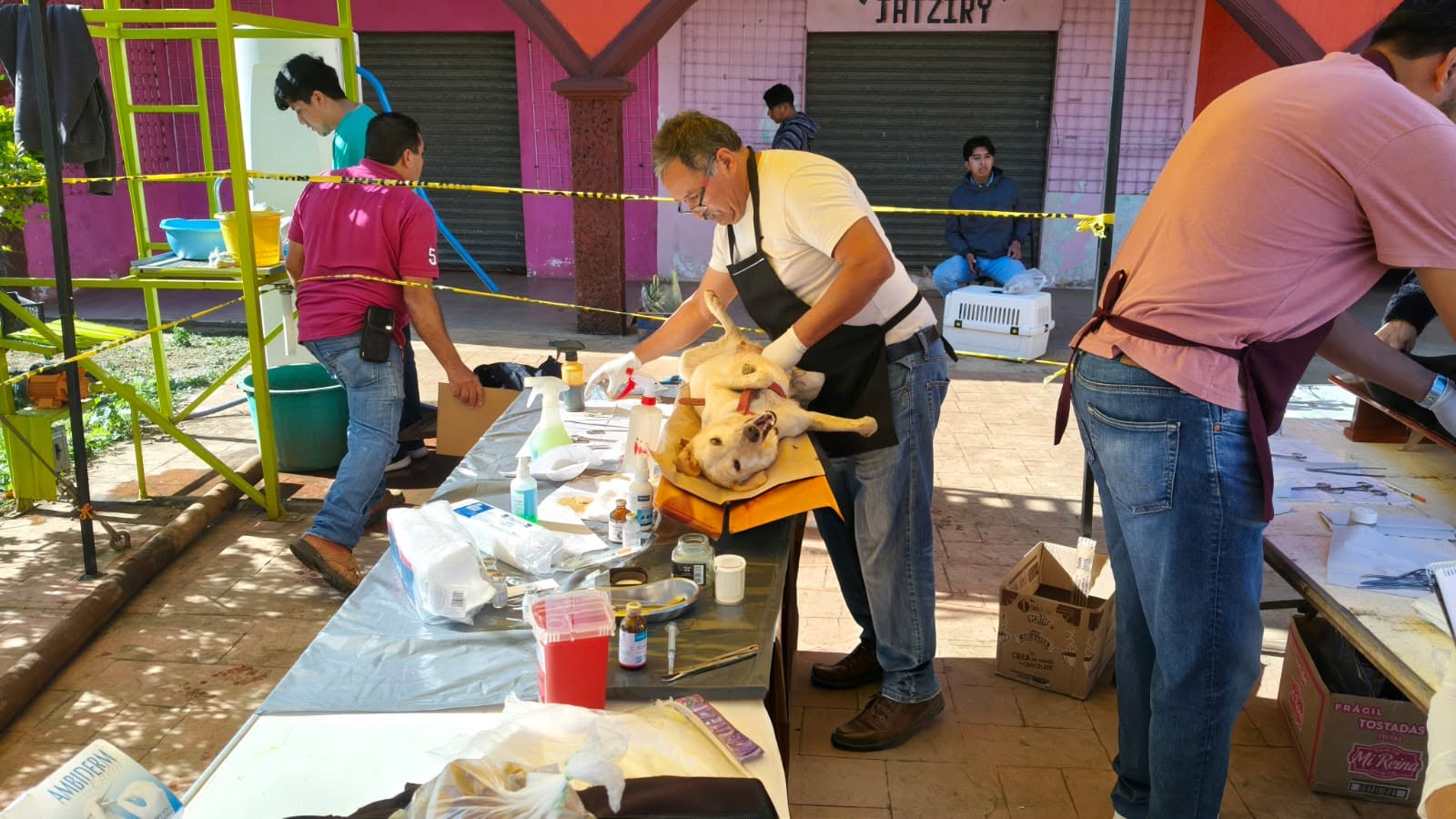Las campañas para perros y gatos quedaron en pausa en Huautla. Esto es lo que hay detrás de la decisión del Ayuntamiento.
