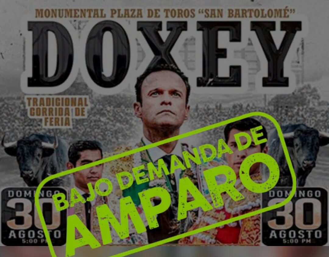 Animal Heroes y PETA Latino presentan amparo contra corrida de toros en Doxey