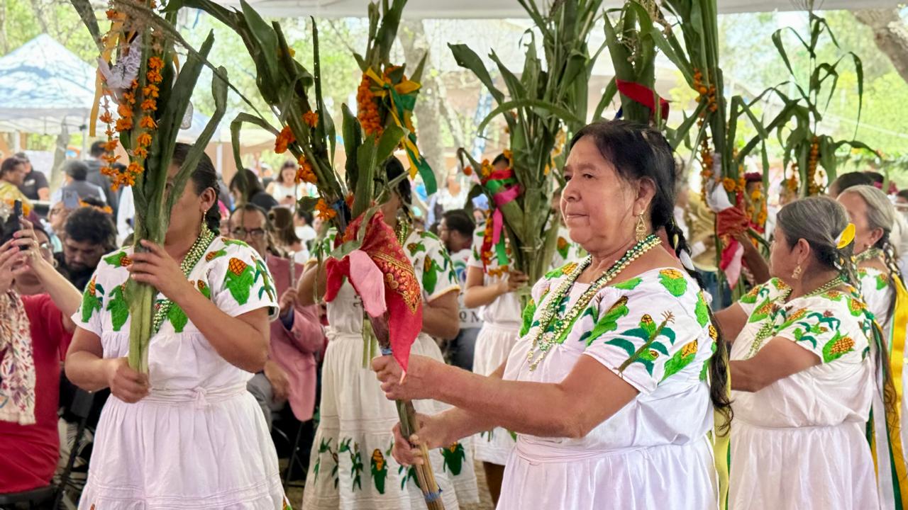 No es turismo masivo: comunidades de Hidalgo preparan recorridos, gastronomía y experiencias con grupos de hasta 12 visitantes.