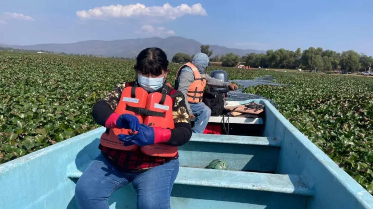 Vista de la presa Endhó, en Hidalgo, relacionada con reportes sobre contaminación, cáncer y enfermedades en comunidades cercanas.