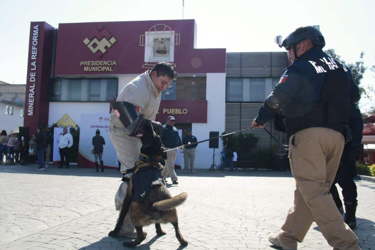 Unidad Canina K9 Mineral de la Reforma